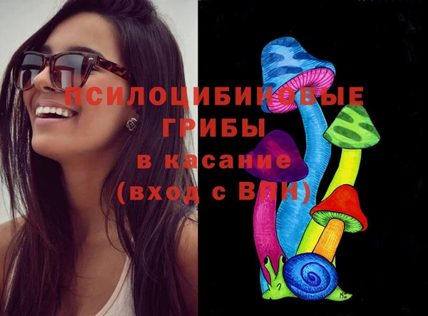сатива Армянск