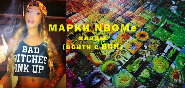 индика Аркадак