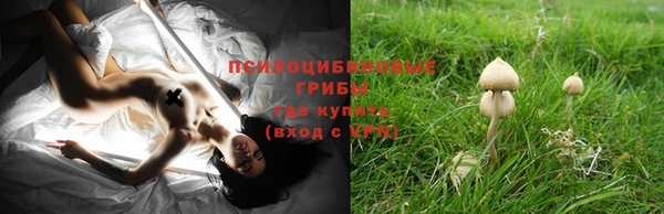 mdpv Покачи
