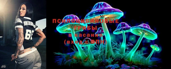 скорость Алзамай